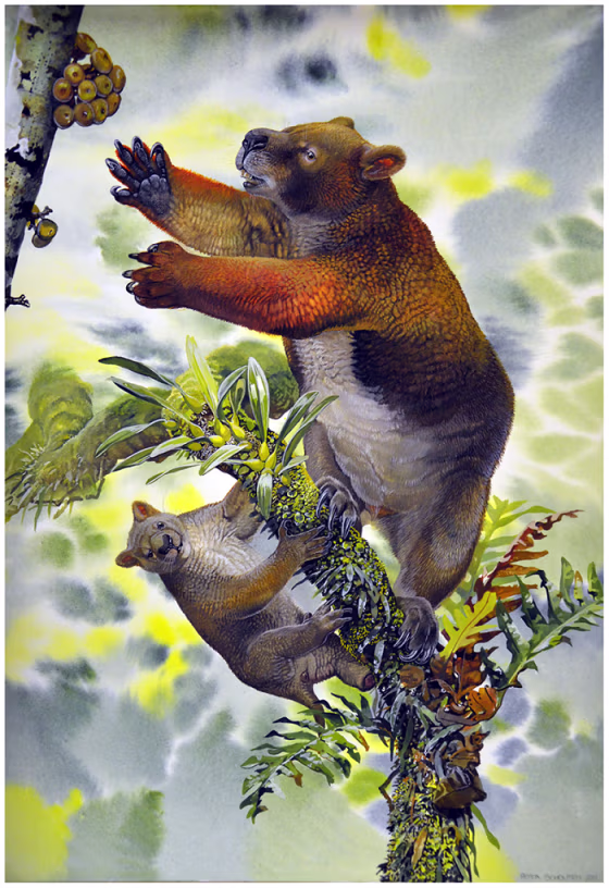 Reconstruction of Nimbadon lavarackorum mother and juvenile.