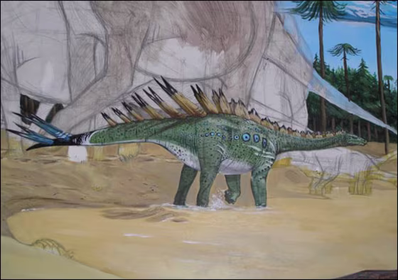 Octavio Mateus and David Lam | All the Better to Reach You With
This artist's illustration shows what the fossils of a recently discovered stegosaur suggest the dinosaur looked like in life. Contrary to the dino group's popular image, this species had one of the longest necks among dinosaurs. |