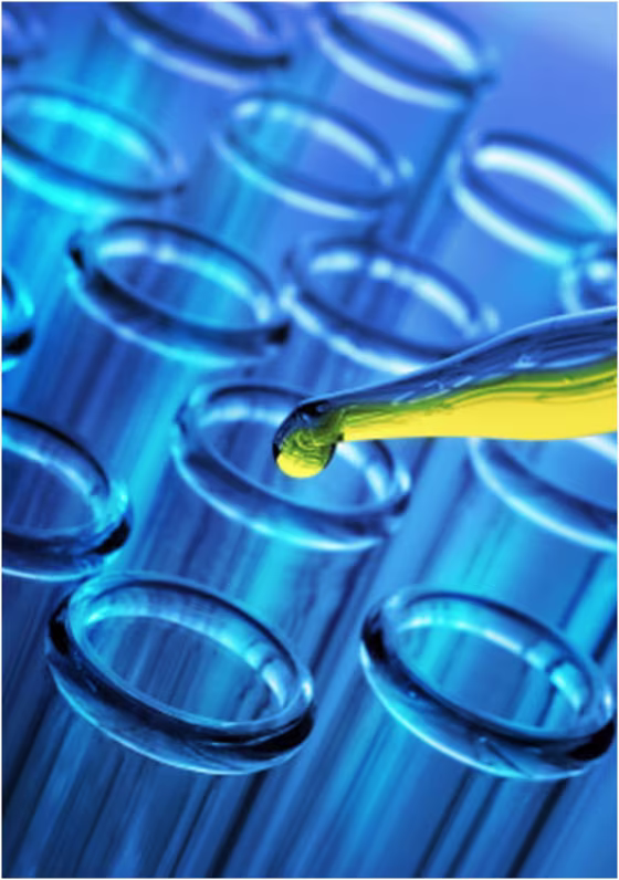 iStockPhoto |
 
Step by Step
Researchers in a Florida laboratory are working with the most basic building blocks of life to try and understand how biology first arose on Earth -- and how it might appear on other planets.