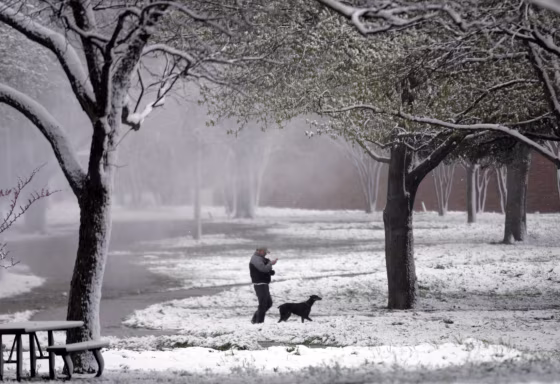Image: Snow in Dallas, Texas