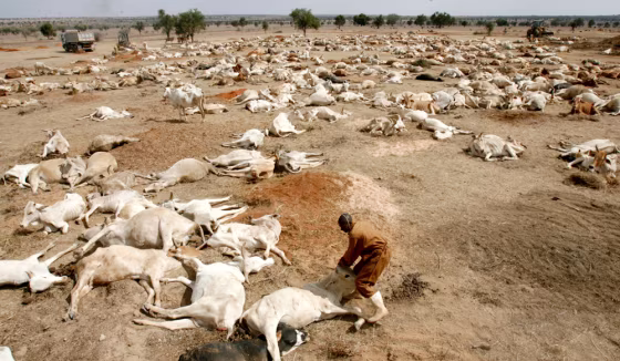 Image: A draught-stricken region in Kenya