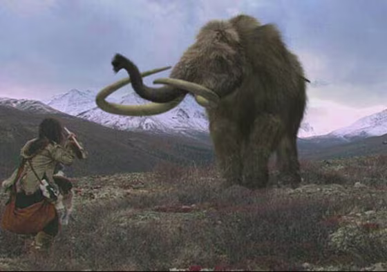 A new study reveals that Neanderthals survived the often chilly conditions of Northern Europe by wearing tailored clothing and drying chunks of big game meat — like that of mammoth.