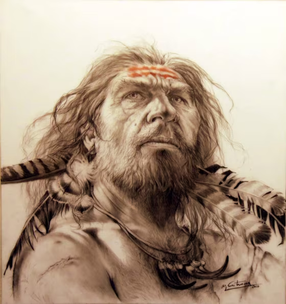 An artist's depiction of a Neanderthal decorated with feathers.