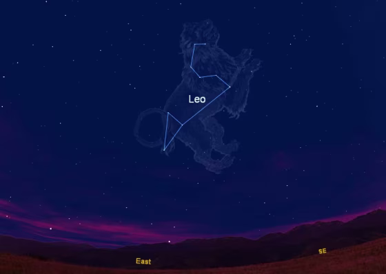 This sky chart shows where the constellation Leo, the Lion and its trademark sickle appear in the eastern sky as viewd from the Northern Hemisphere during spring. This chart is where the constellation appears at 8 p.m. EDT as viewed from the U.S. East Coast.