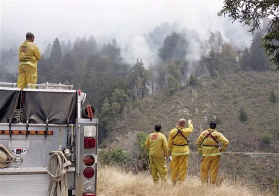 Wildfires