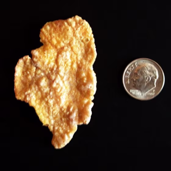 Illinois Corn Flake