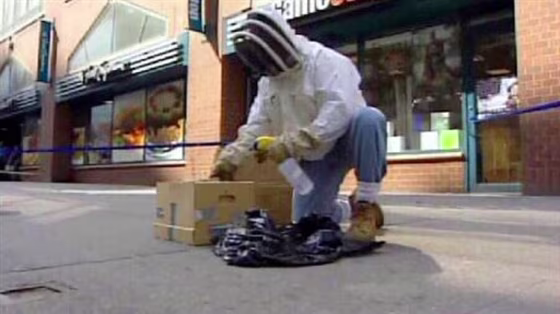 City Bee Swarm