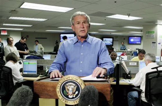 Bush Gustav