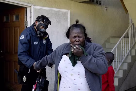 Gang Arrests