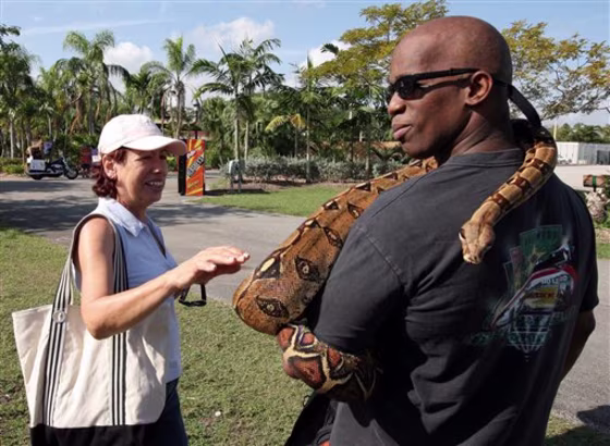 Exotic Animals