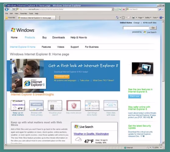 Microsoft Internet Explorer