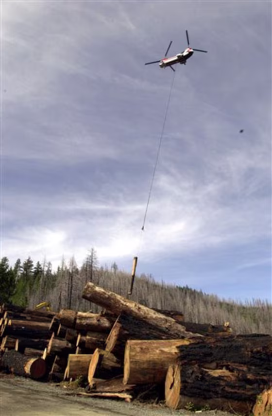 ROADLESS FORESTS