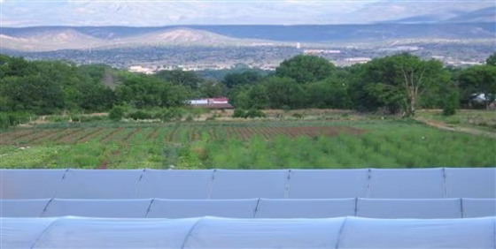 Vegan Farming