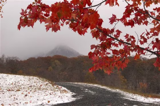 Fall Color