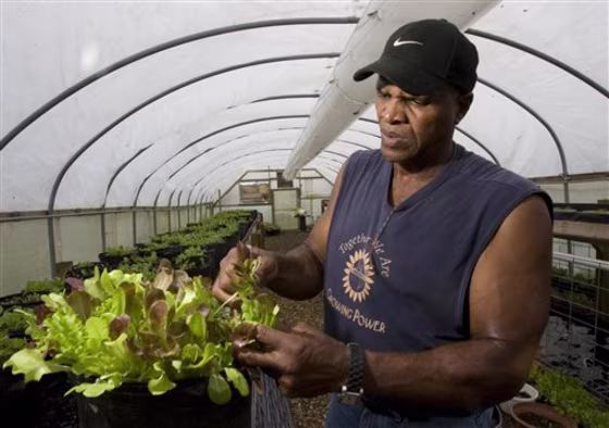 Farm Scene Celebrity Farmer