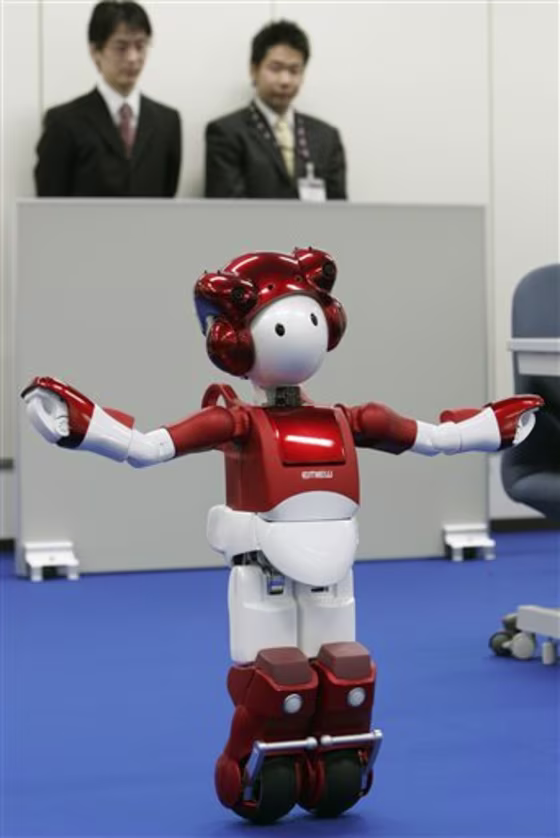 Japan Hitachi Robot