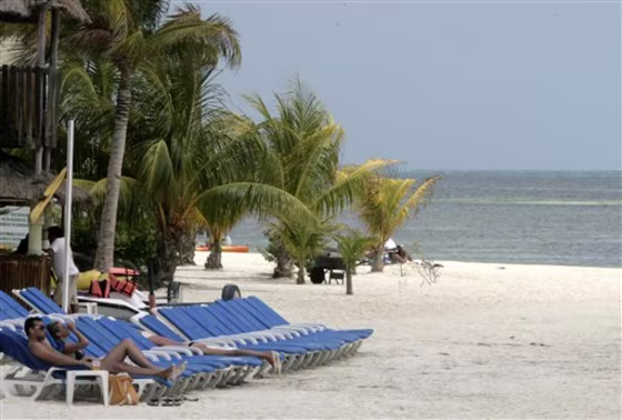 Mexico Swine Flu
