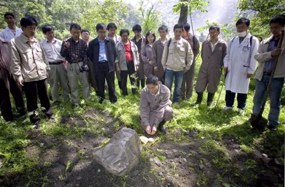 China Earthquake Panda