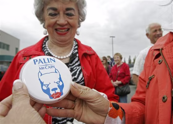 Palin 2008