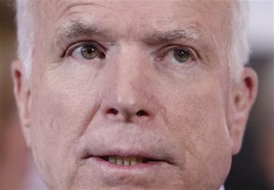 McCain 2008