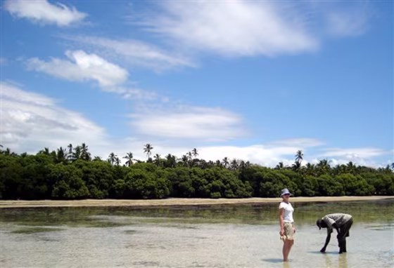 TRAVEL TRIP EAST AFRICA ISLANDS