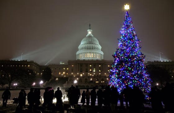Pelosi Presides Over Capitol Christmas Tree Lighting Ceremony