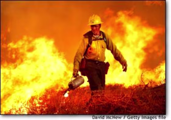 Wildfires like this one in Borrego Springs, Calif., in August can profoundly change ecosystems by harming watersheds and destroying animal habitats.