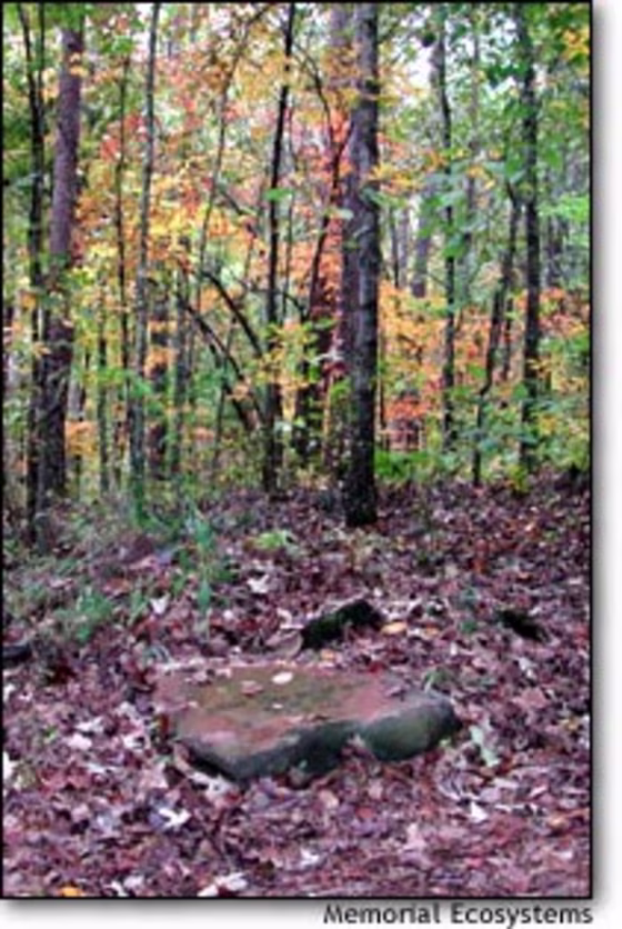 Grave sites are designated by natural, flat stones at Memorial Ecosystems in Westminster, S.C.