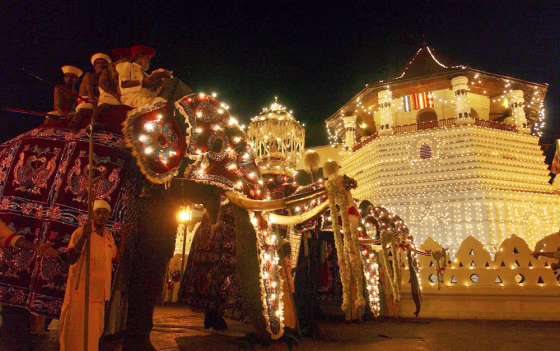 Image: Kandy festival in Sri Lanka