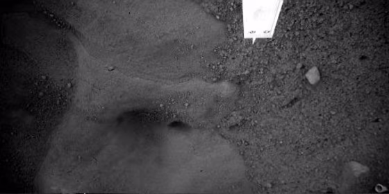 Image: Surface of Mars