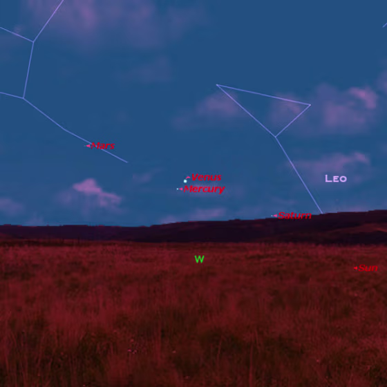 On August 22nd from midnorthern latitudes, Saturn is becoming lost in the sunset, but look for bright Venus and use it to track down Mercury. Mars is a little bit higher up in Virgo and will be visible longer after sunset.