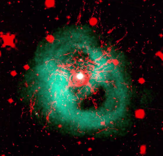 Comparison of the filaments with the red, hard X-ray emission from the intra-cluster medium, showing the hot gas bubbles that created the filaments in their wake. The image was formed from the red image, subtracting continuum and stellar-sources using SExtractor. The X-ray data comes from the Chandra X-ray Observatory. Credit: A.C. Fabian/R.M. Johnstone/J.S. Sanders/C.J. Conselice/C.S. Crawford/J,S, Gallagher III/E.Zweibel