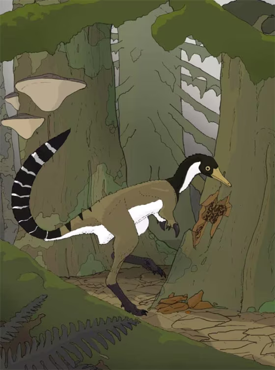 Besides ripping into trees for termites, this dinosaur likely ran through the forests on its two slender legs. Credit: Nick Longrich.