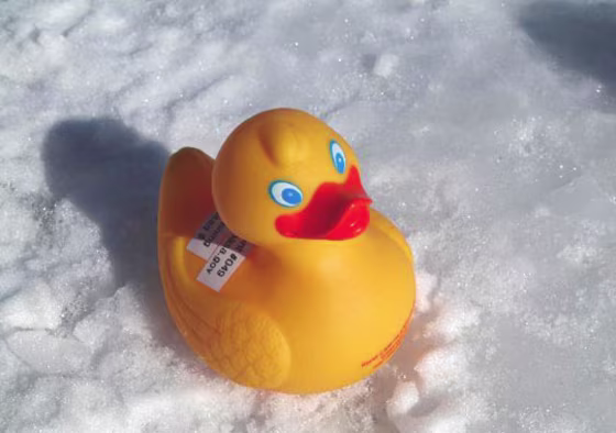 This rubber duckie was part of the brigade dropped into a glacier to track melting water.