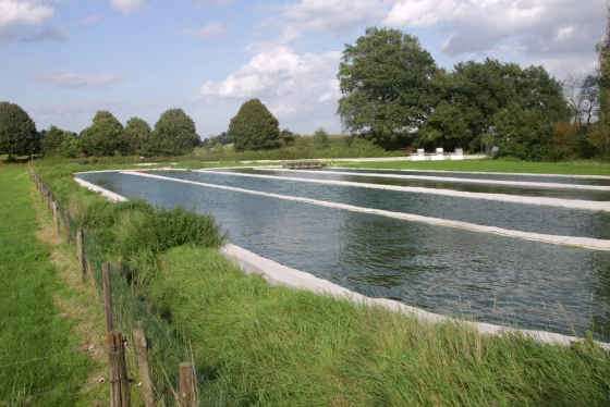 Image: An algae pool