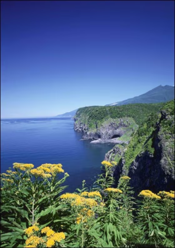 Getty Images |
 
Tsunami Central? 
The Japanese island of Hokkaido, pictured here, bears sediments that store a record of at least nine tsunamis that raged over 33-foot cliffs over the course of the last 3,000 years. Based on that history, scientists believe the region could be in store for mega-tsunamis in future years. | Video: Discovery Earth