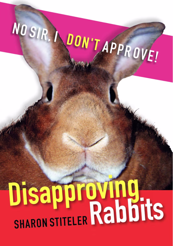 Image: Disapproving Rabbits