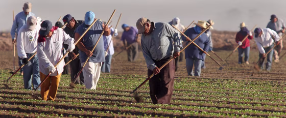 A climate of fear is spreading among undocumented immigrant workers, causing turmoil in industries dependent on their labor.