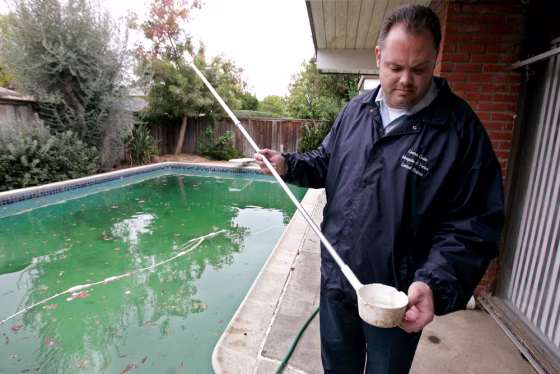 Contra Costa County public health worker Jeremy Tamargo looks at a water sample for mosquitoes from this dirty pool at an empty foreclosed home in Concord, Calif. Dank, brown and fetid, the backyard pool has morphed from a once-sparkling turquoise to a breeding ground for mosquitos and worse.