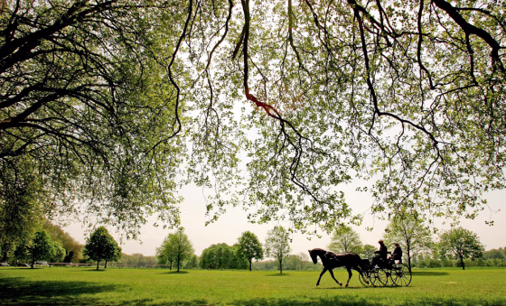 Royal Windsor Horse Show - Day 2