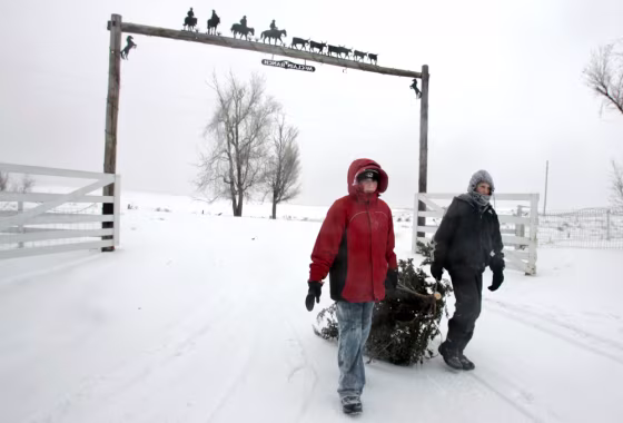 Cale Rohwer, Brian Stoverink