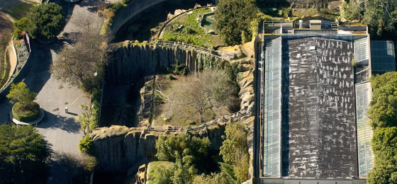 Image: The tiger enclosure at the San Francisco Zoo sits empty