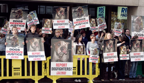 Image: Protesters hold signs as they line up across the street from Federal Court prior to the sentencing of Atlanta Falcons quarterback Michael Vick on dogfighting charges in Richmond, Va., in this, Dec. 10, 2007, file photo. Animal advocates are hopin