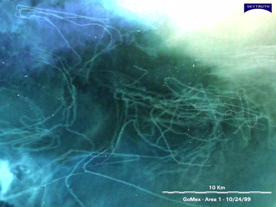 Image: trawling trails