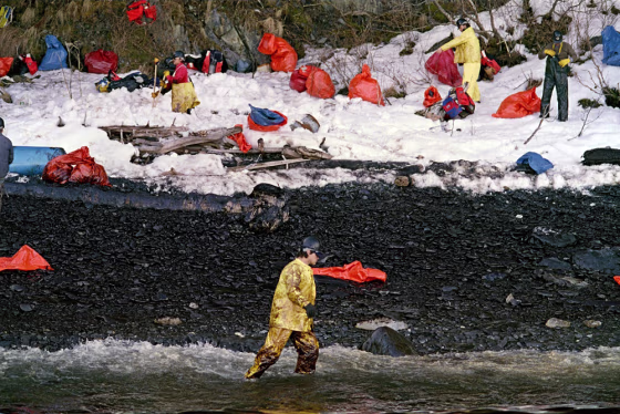Image: a cleanup worker walking through the oily surf at Naked Island on Prince Williams Sound
