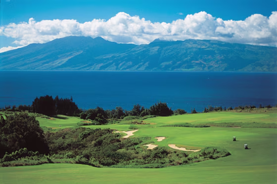 Image: Kapalua Resort, Maui, Hawaii
