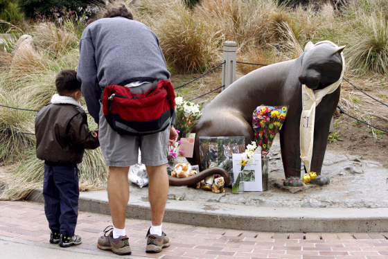 Image: San Francisco Zoo re-opens after tiger attack on Christmas