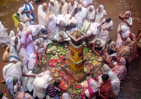 Image: Hindu widows offer prayers at the Lingaraj Temple to mark the end of a month long festival of Kartik Purnima