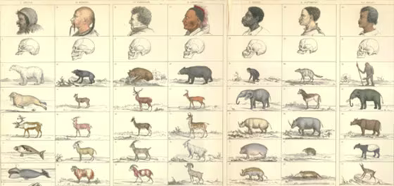 Image: Drawings of people and animals