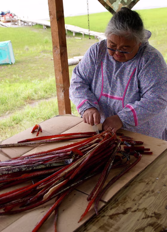 Aurie Waska uses an ulu knife to cut dried king salmon into strips at a fish camp on the lower Yukon River in Alaska. The fish is buoying the fragile economies of the tiny Yukon River delta villages, which are among the state's poorest communities. 